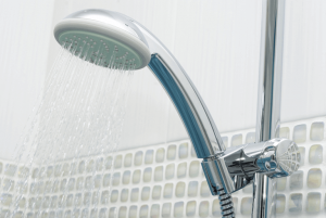 shower-head-in-stand