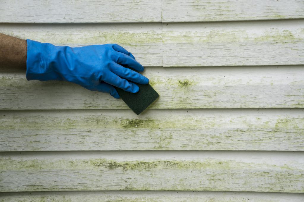 scrubbing siding