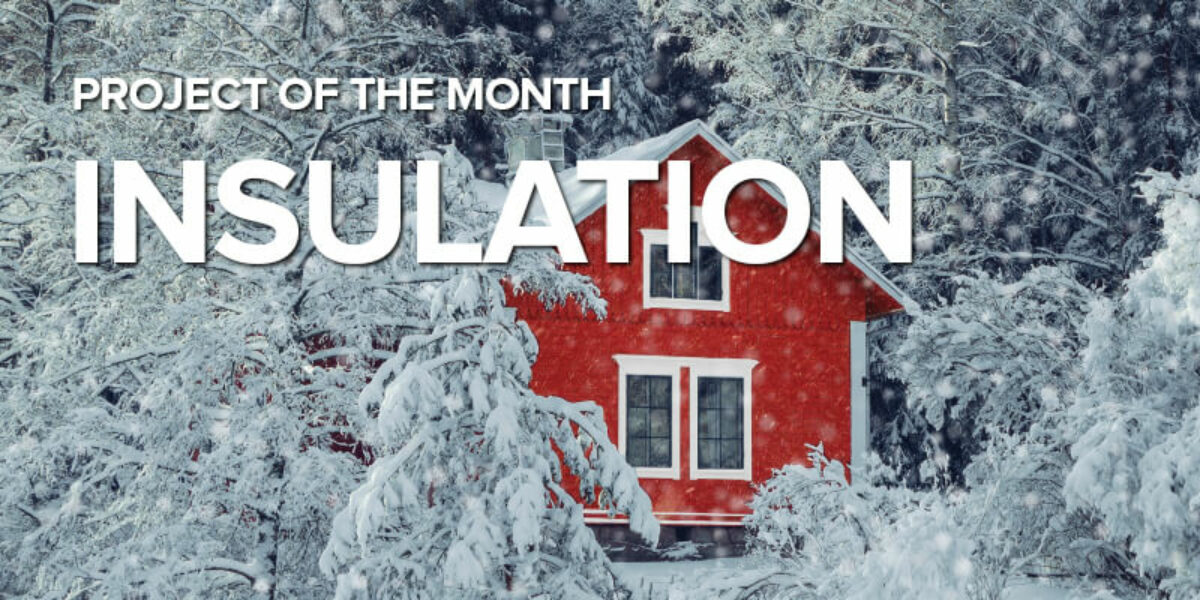 Project of the Month: Insulation